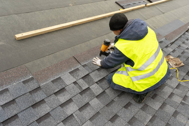 Best Roof Gutter Cleaning  in Franklin Farm, VA