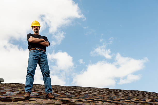 Best Roof Gutter Cleaning  in Franklin Farm, VA